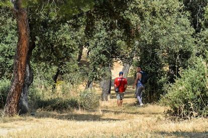 cruising templo debod|En busca de sexo anónimo e instantáneo: viaje al。